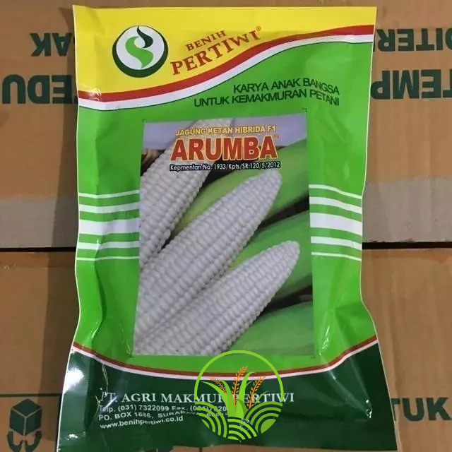 PROMO Benih / bibit jagung putih pulut manis ARUMBA jagung arumba 250 gr dari benih pertiwi jagung k