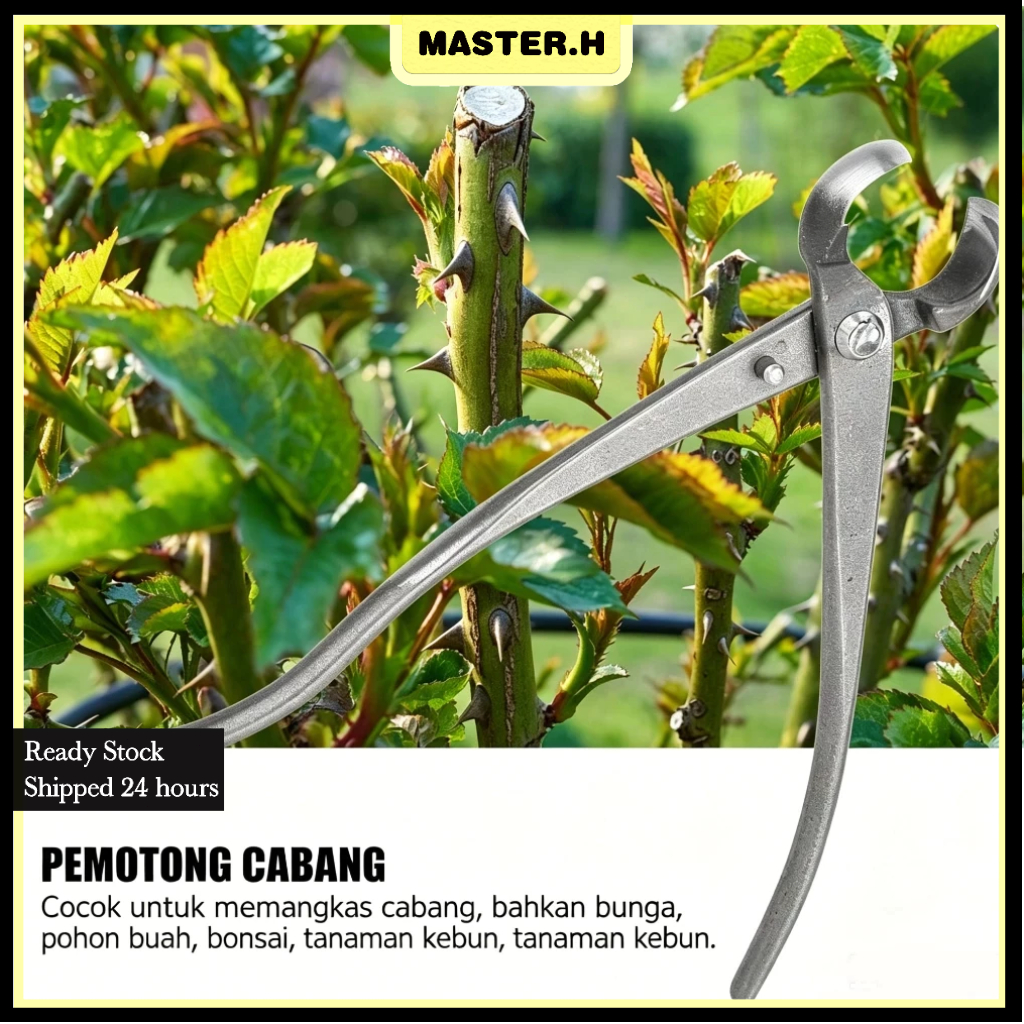 Catok Bonsai Cembung 21 cm Catut Cembung Brand Miswan Original Tanaman Bonsai