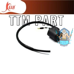 COIL  SUPRA - SUPRA X 100 125 - SUPRA FIT OLD LAMA NEW - LEGENDA - KARISMA - REVO OLD 100 - GRAND - 