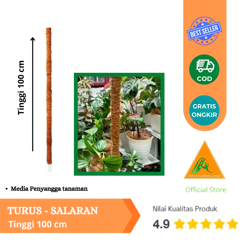 Turus Sabut 100cm Penyangga Tanaman / Bunga