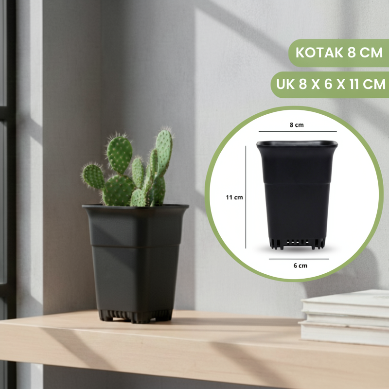 Pot Kotak 8 cm Warna Warni - Pot Kaktus Sekulen