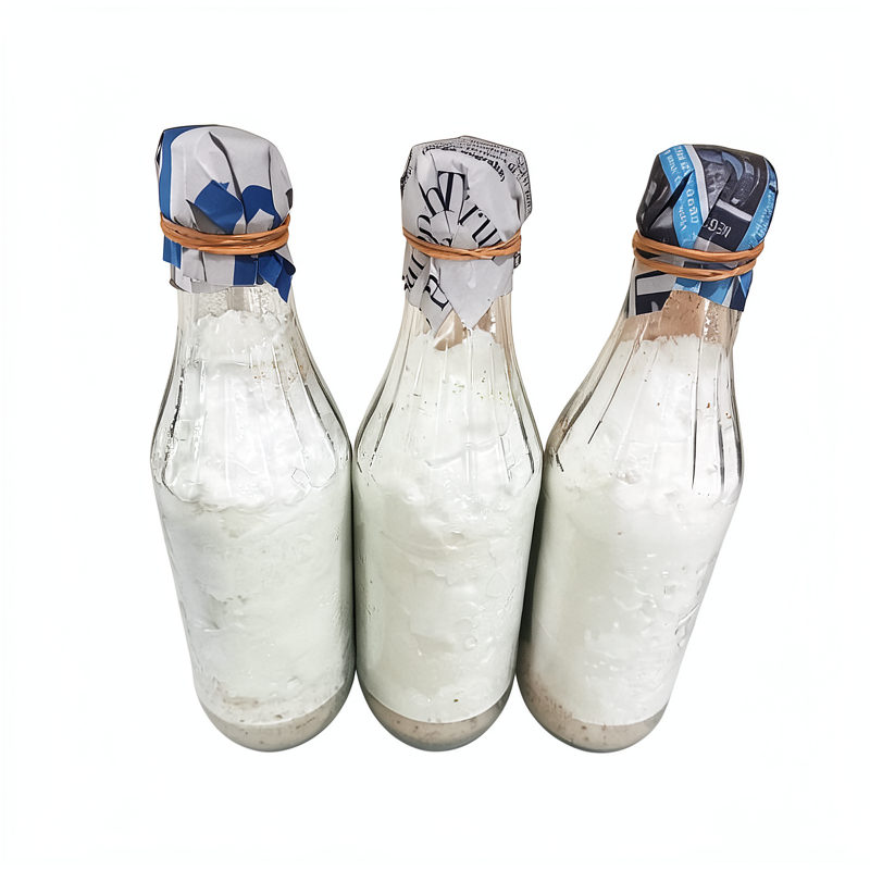 Bibit jamur milky f2