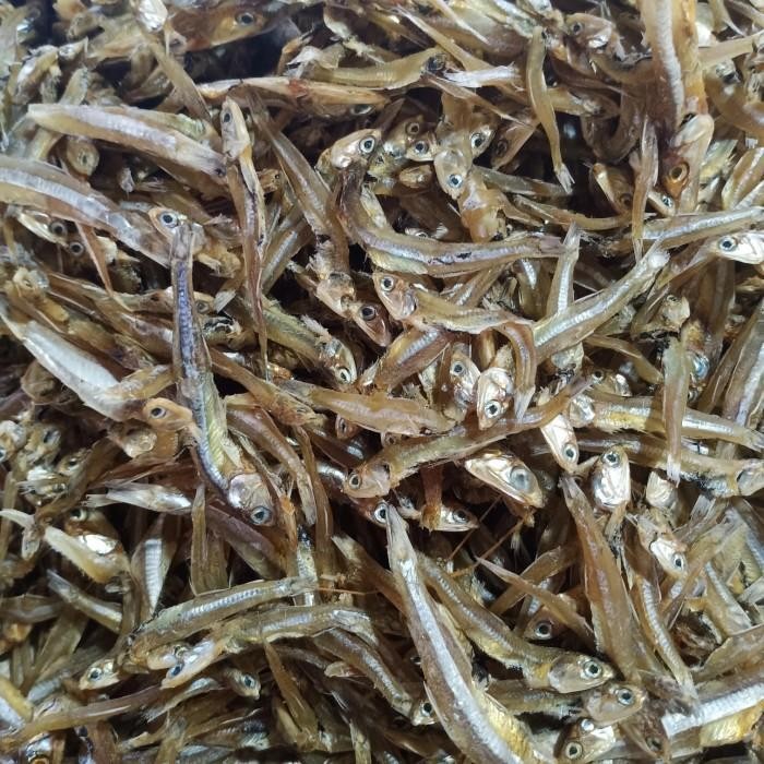 

(Expert) ikan teri asin