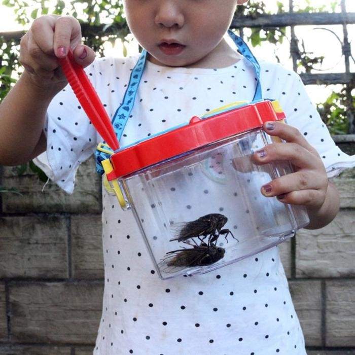 

Terlaris Kotak Observasi Serangga / Bug Insect Viewer / Portable Dengan Kaca Ongkir Termurah