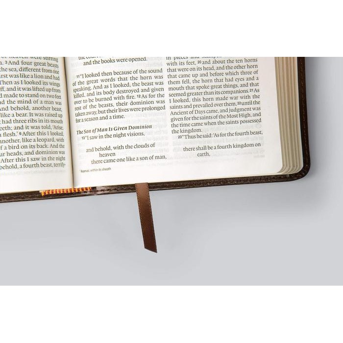 ESV Large Print Compact Bible, Softcover, Trutone