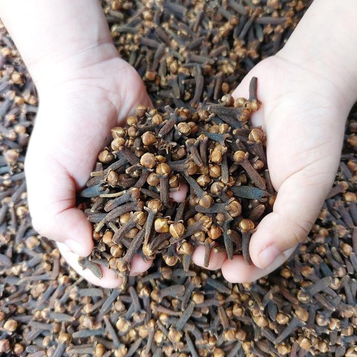 

PREMIUM cengkeh kering 1 kg kualitas super