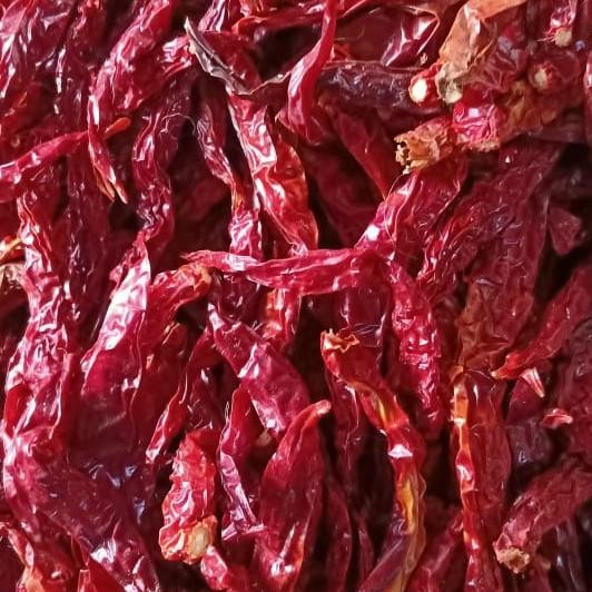 

PREMIUM Cabe Kering Keriting 1 KG Kilo Fresh Untuk Rendang Dll