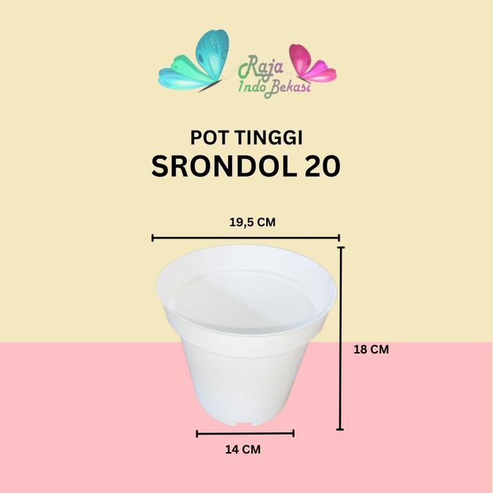 [Sp] Pot Tinggi Srondol 10 12 15 17 20 Pot Bunga Tinggi Pot Hias Aglonema