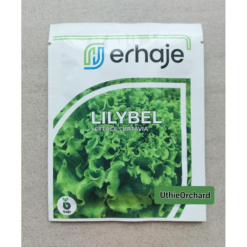 Terlaris Benih Bejo Seed - Selada Batavia Lilybel Kemasan 1000 Pills