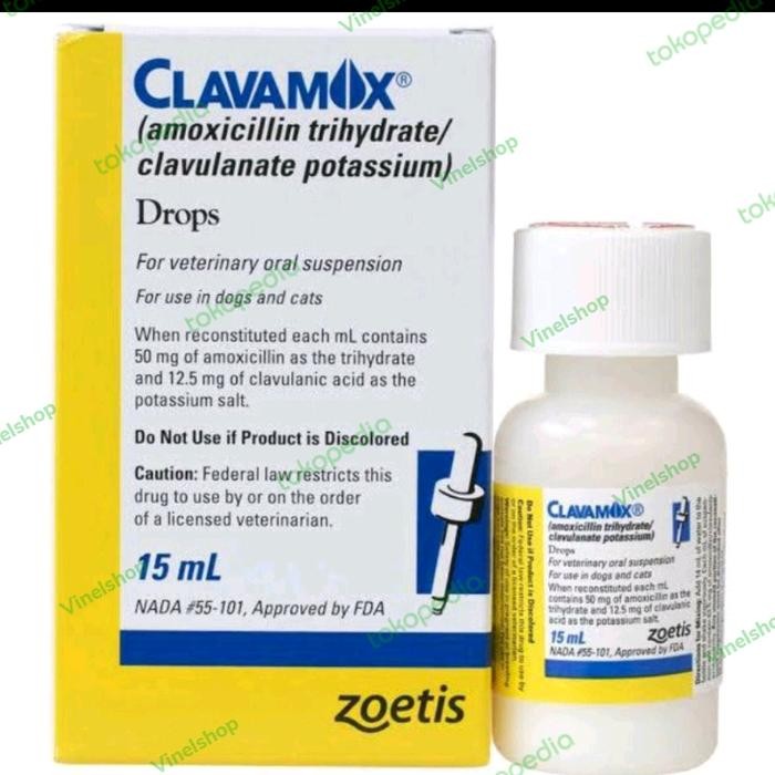 CLAVAMOX DROP ANTIBIOTIK KUCING DAN ANJING