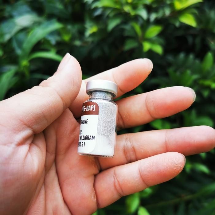 Gardening_Love Hormon Cytokinin Sitokinin 6-Bap Murni Serbuk Powder Botol Vial Steril