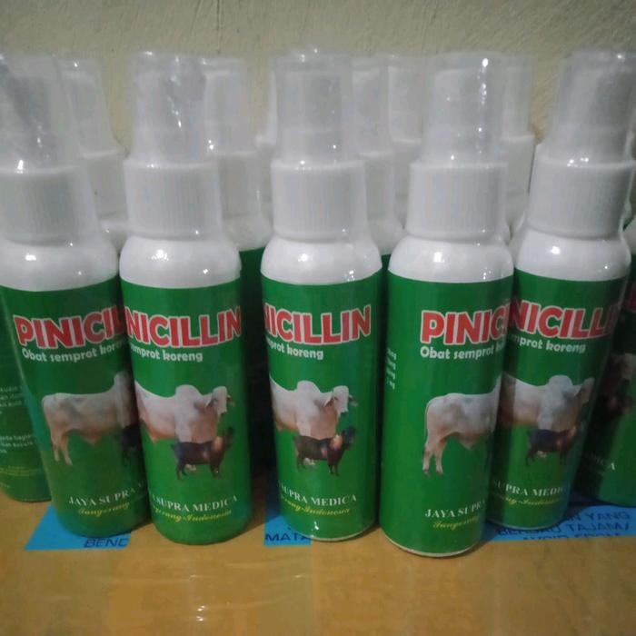 OBAT LUKA KORENG PINISILIN SPRAY 10PCS