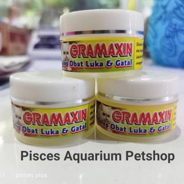 SALEP GRAMAXIN OBAT LUKA DAN GATAL JAMUR KUCING ANJING 10GR