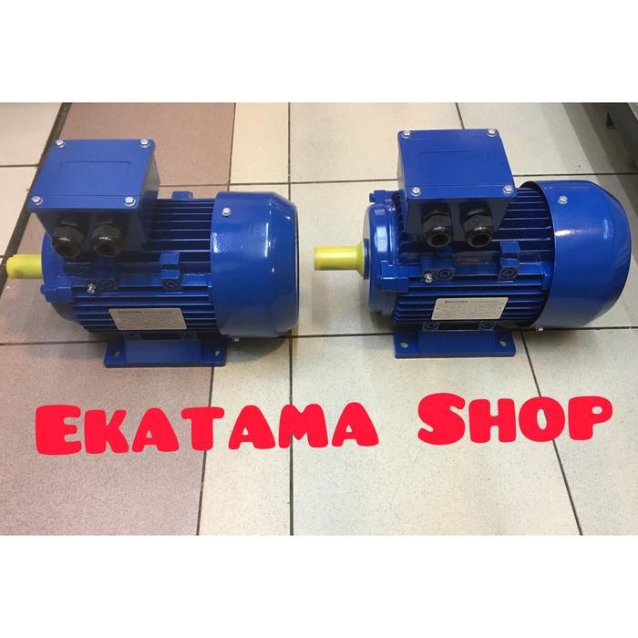 ELECTRIC MOTOR BOLOGNA 2HP / 1,5KW / 3PHASE (BLA-90L-4)