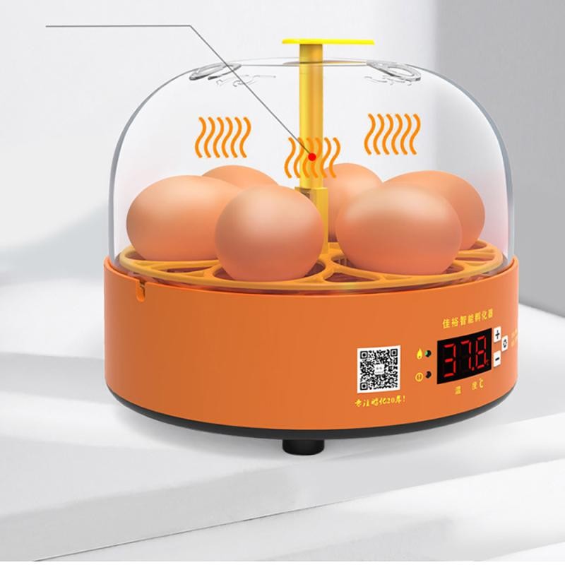 Mini 6 Egg Incubator Poultry Hatchery Machine Automatic Brooder Manual Eggs Experimental Incubator