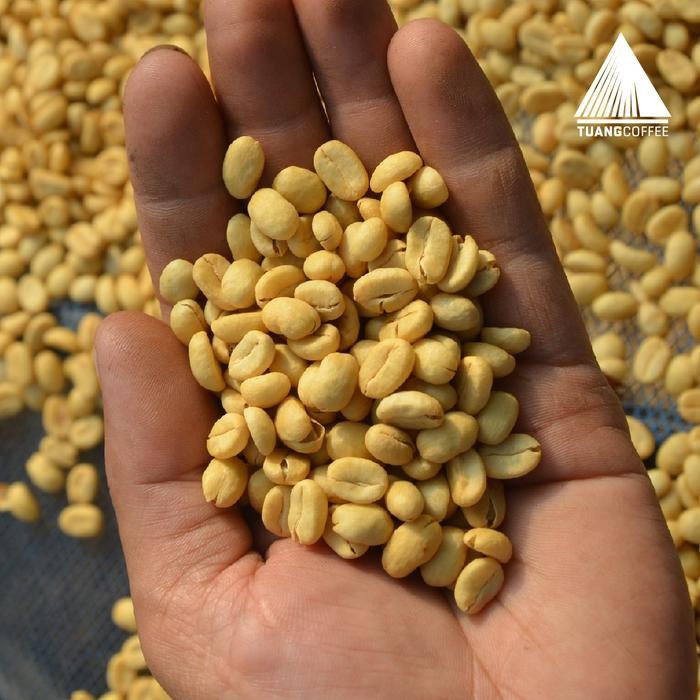 

Roasted Bean Premium Arabica Washed Tuang Coffee