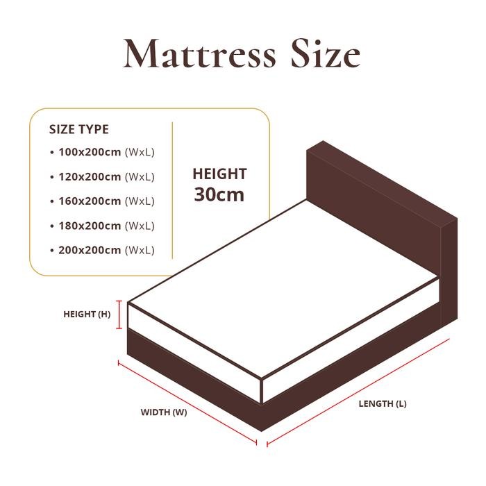 (Allthebest) Kasur Springbed Lady Americana Viance Mattress Only ( Medium )