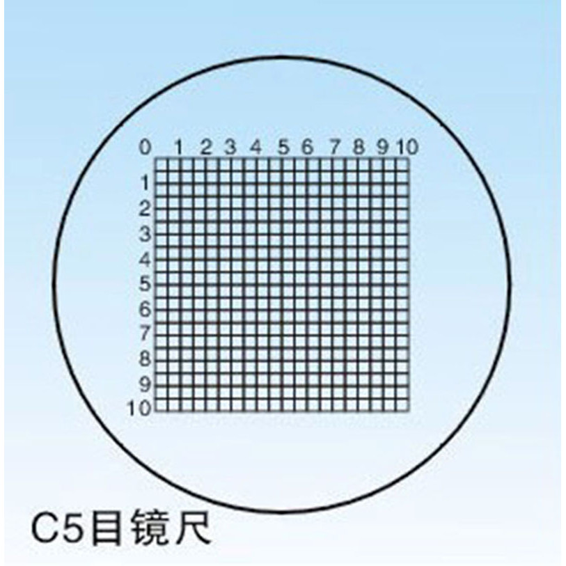 C5 Microscope Objective Stage Micrometer Calibration Slide 5x5mm2/10 0.25mm2