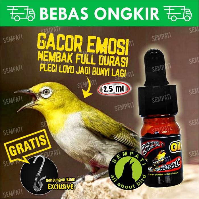 Dextro 87 oil ultra instinc obat vitamin penggacor burung pleci