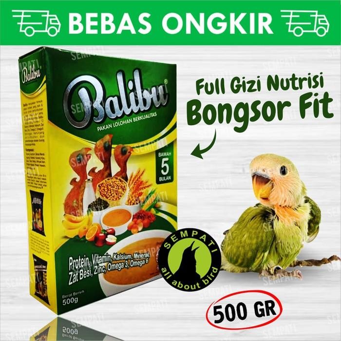 PAKAN BURUNG PIYIK ANAKAN BURUNG LOVEBIRD BALIBU EBOD JAYA