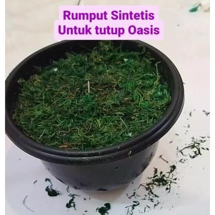kehi Green Moss Rumput Tabur / Rumput Kering / Lumut Tabur / Lumut Kering / Penutup Oasis / Rumput