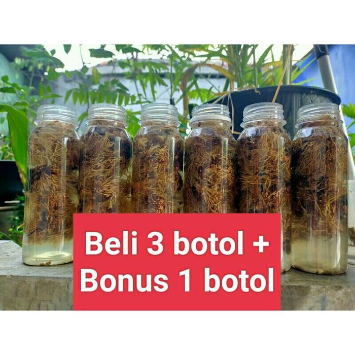 (Allthebest) Spora Bibit Biang Jamur JAKABA Pupuk Organik