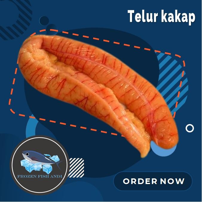 

telur ikan kakap segar