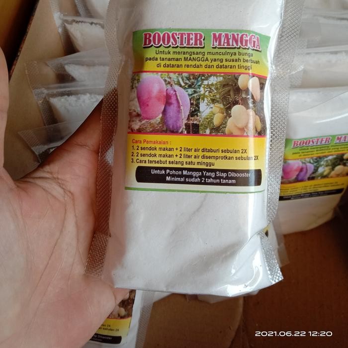Booster Buah Mangga Pupuk Booster Buah Mangga