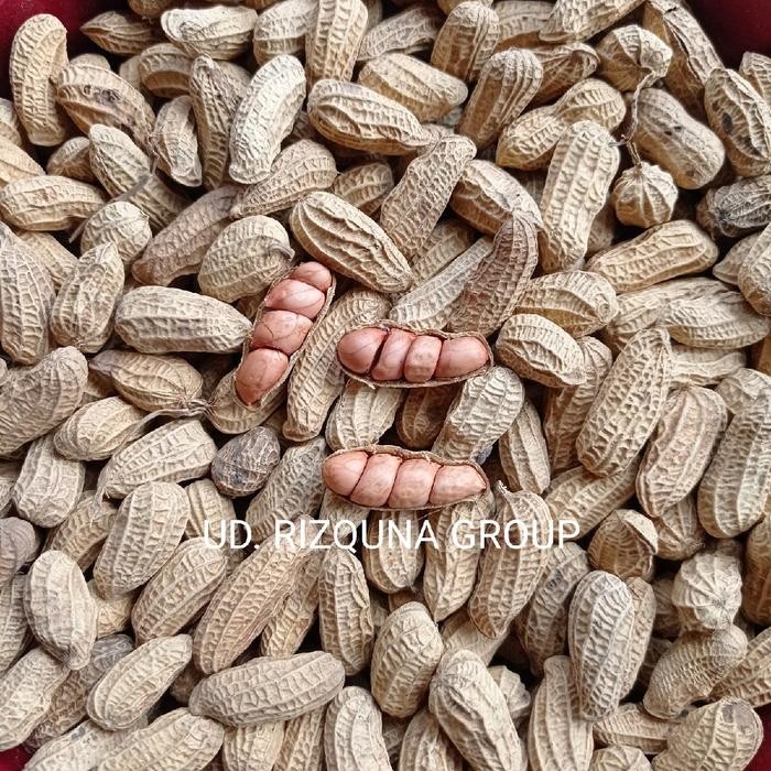 

New KACANG SANGRAI BENDO ORIGINAL 1kg