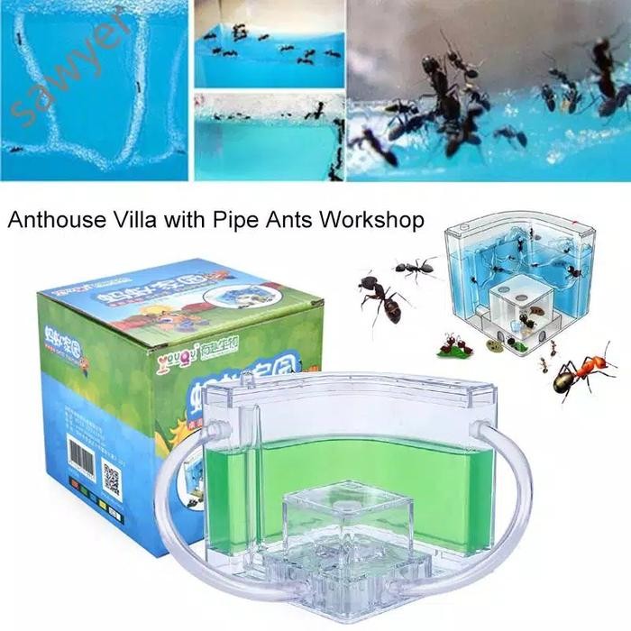 (FC) Rumah Semut Warna-Warni Untuk Mainan Hewan Peliharaan