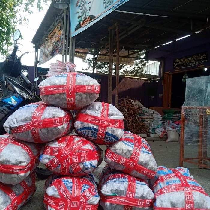 TERMURAH MEDIA FILTER BATU GOMBONG 20KG FILTER KOLAM MIRIP BATU APUNG