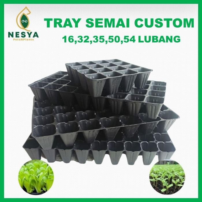 [Expert] Tray Semai Trai Semai Custom Potray Wadah Semai Skala Hobi