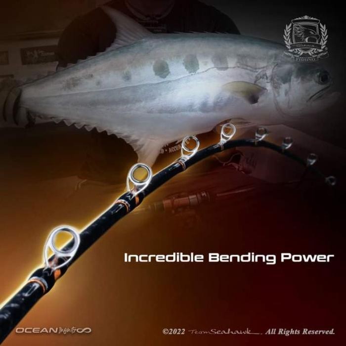 Joran Pancing Seahawk Ocean Infinity Slow Jigging One Piece Reel Jig Lure