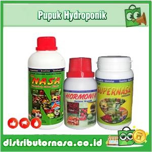 [Hidroponik] Pupuk Organik Tanaman Hias