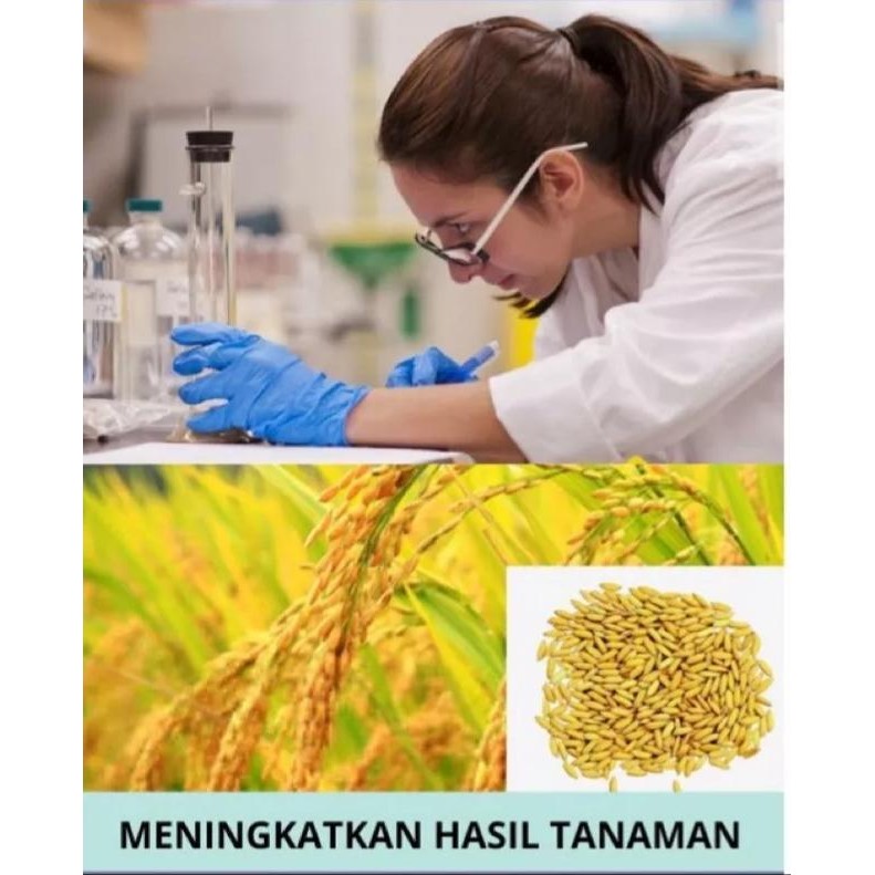 GARDEN 68 PUPUK/VITAMIN TANAMAN