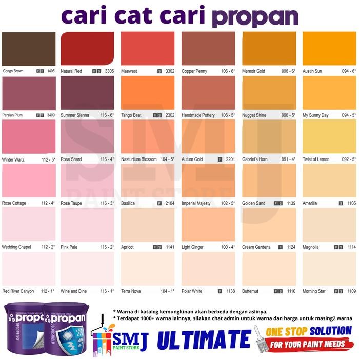 CAT TEMBOK EXTERIOR PROPAN DECORFLEX WARNA TINTING KEMASAN 2,5 LITER