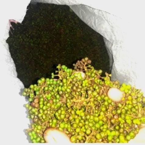 

(Expert) Andaliman 100 gram