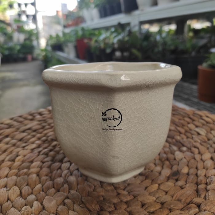 Pot Keramik Cream Segi 6 / Pot Tanaman / Pot Keramik