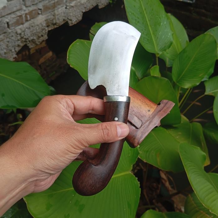 Golok Cilik Gocil Baja Super Survival Serbaguna Seset Terlaris