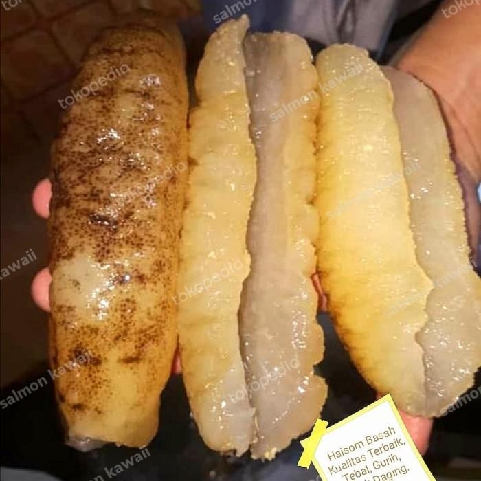 

EXPORT HOISOM/ HOISEM / HAISOM / TERIPANG DURI DAGING TEBAL RASA SUPER