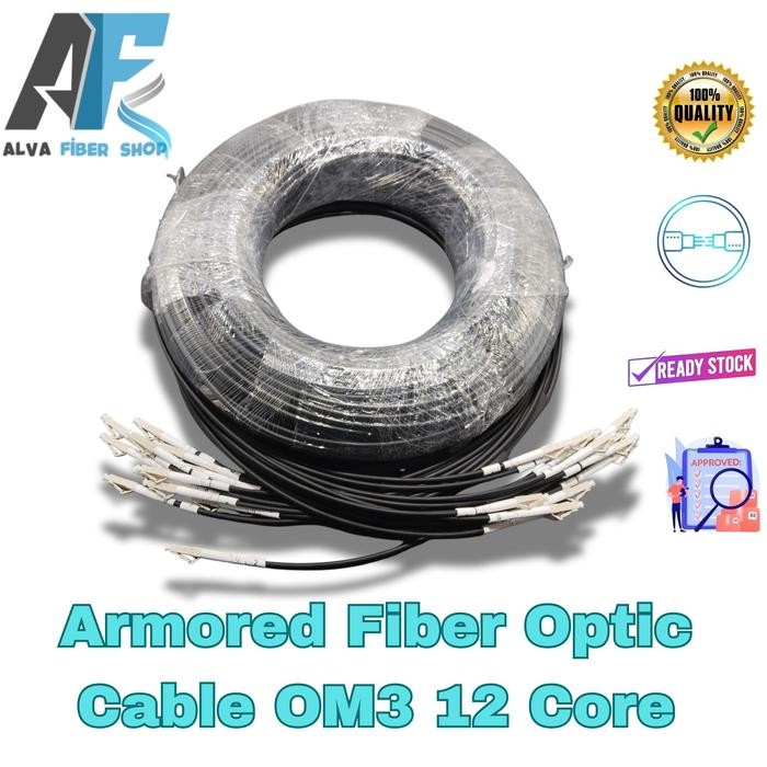 Armored Fiber Optic Cable Om3 12 Core 5.0Mm Lszh 120 Meter Connector Bisa Request