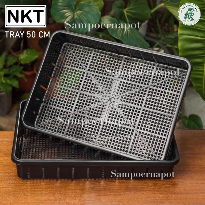 Tray pot untuk semai bibit hidroponik 50cm - TRAY POT NKT 50CM