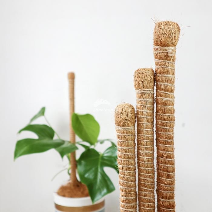 

turus tanaman Rambatan 2 meter Kelapa Tiang