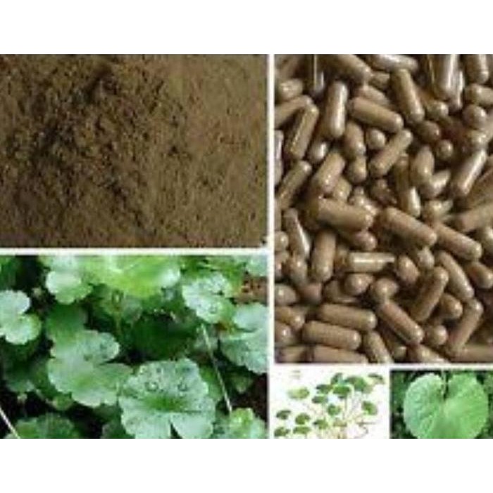 

FyZ Centella Asiatica Extract Powder 50g/Gotu Kola Extract Powder 50g