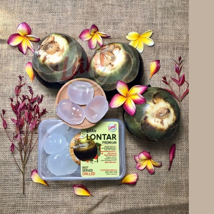 

Glx Lani Buah Lontar Premium (isi 20pcs) Siap Konsumsi