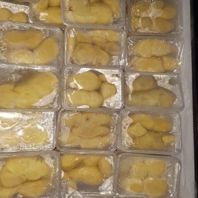 

Glx Durian Kupas Durian beku Durian monthong PALU