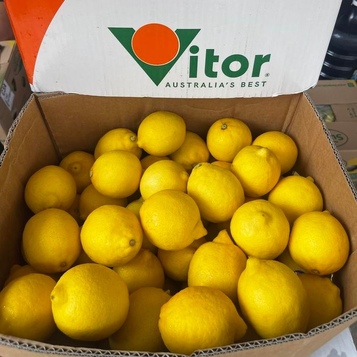 

Glx Lemon lemon impor lemon australia lemon usa lemon amerika -1kg