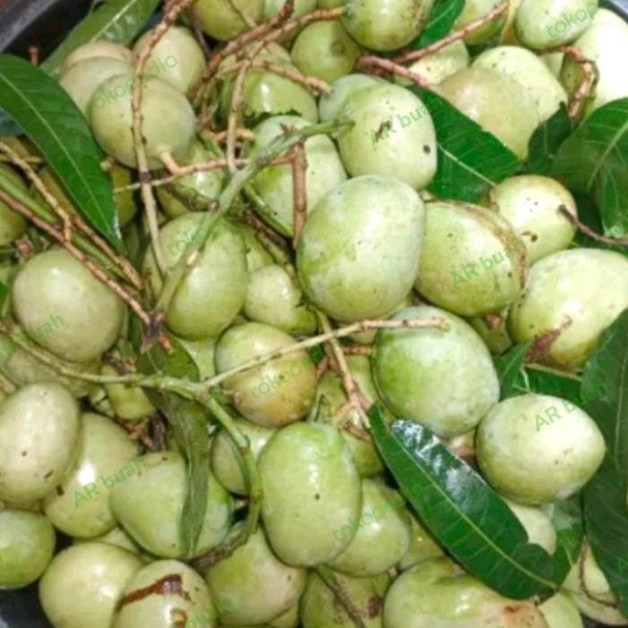 

Glx mangga muda telor belah biji 1 kg fresh