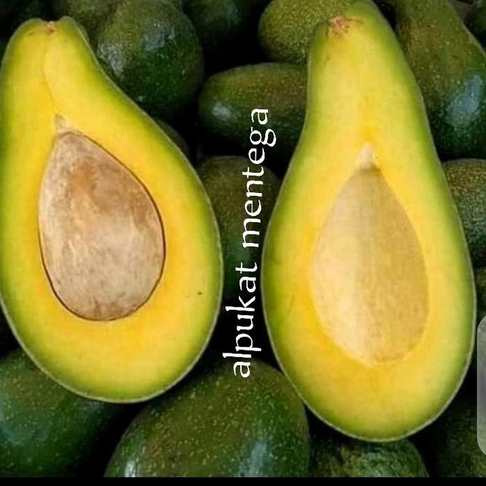 

Glx BUAH ALPUKAT MENTEGA BESAR 1KG (2-3)PCS