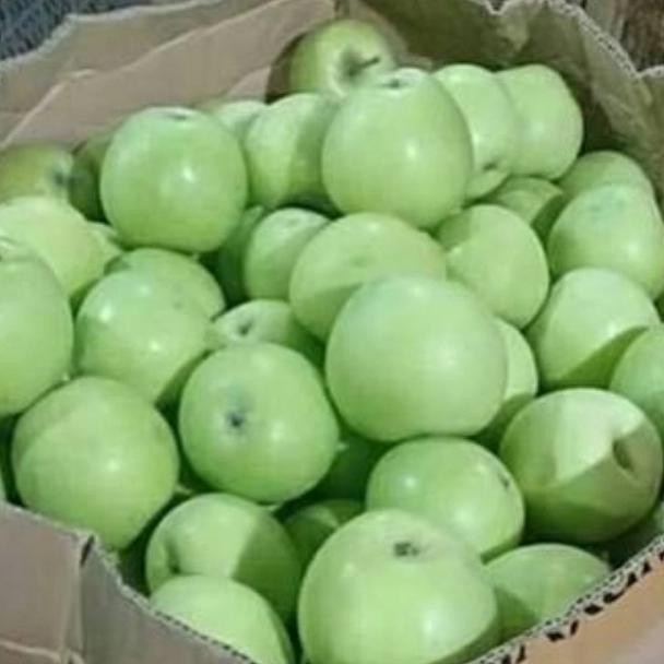 

Glx APEL HIJAU MALANG LOKAL FRESH PER 1KG